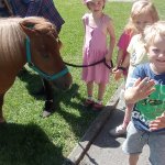 phoca_thumb_m_ponk 113 Fotogalerie